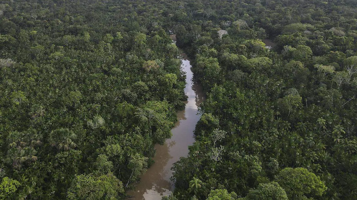 Fotografía aérea de una zona de la floresta Amazónica, el 6 de agosto de 2023 efe